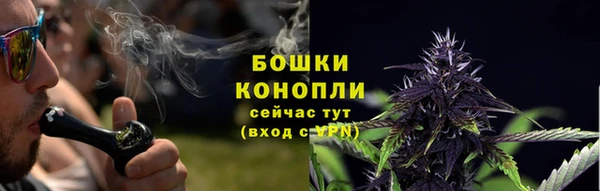 ALPHA PVP Горно-Алтайск