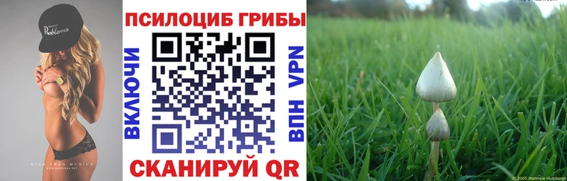 Галлюциногенные грибы мухоморы Горячий Ключ