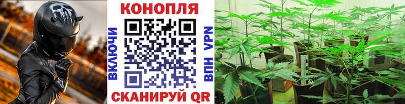 Канабис White Widow  Горячий Ключ 